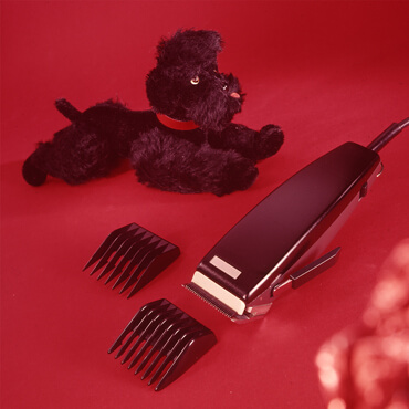 w history m1975.jpg
