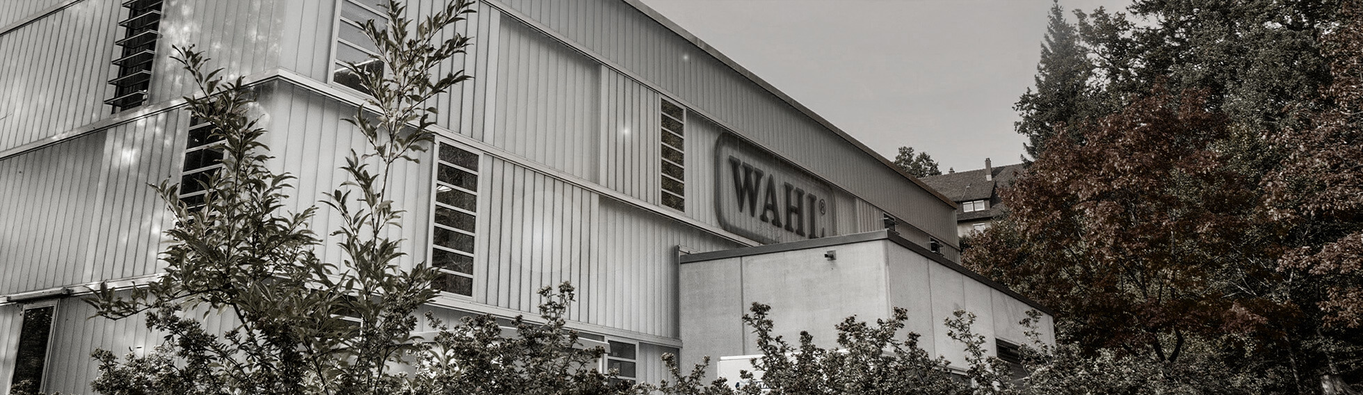 wahl gmbh head.jpg